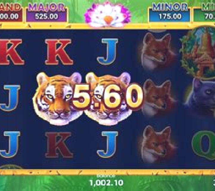 Tiger Jungle Hold and Win slot game
