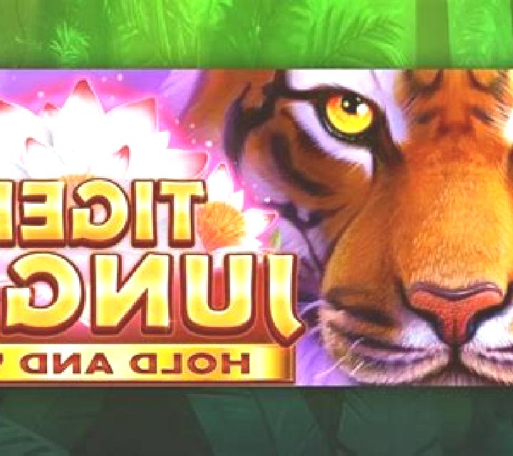Tiger Jungle Hold and Win slot machine