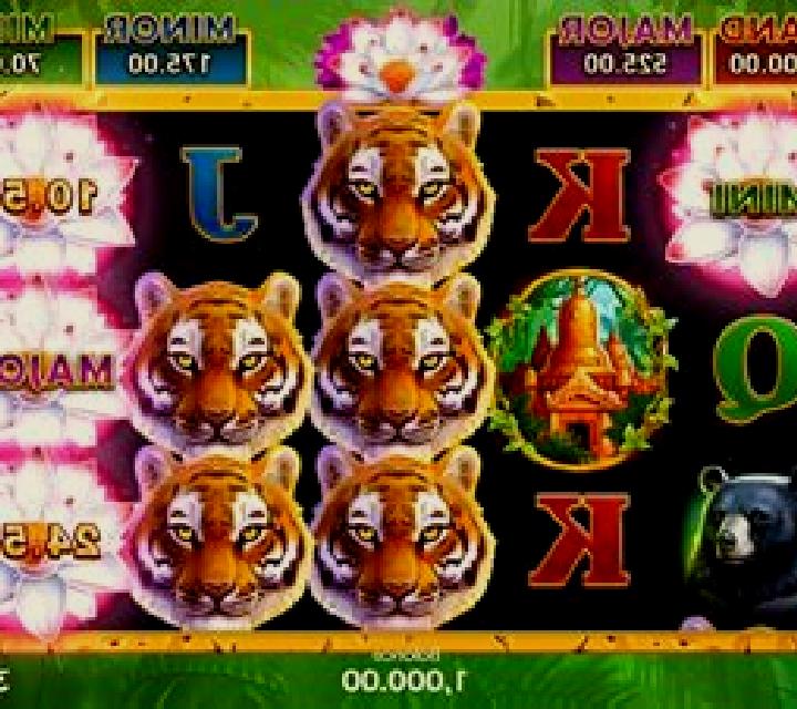 Tiger Jungle Hold and Win slot