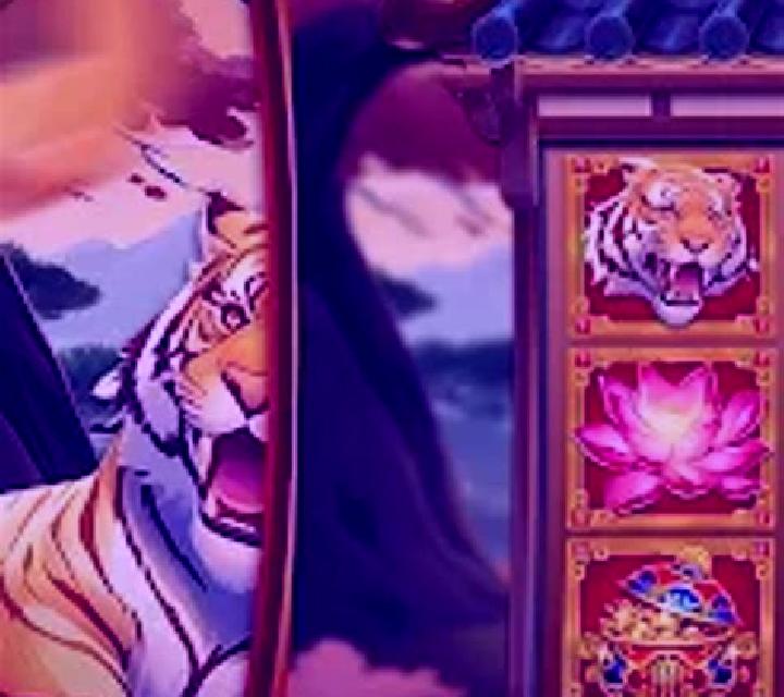 Tiger on Gold slot game