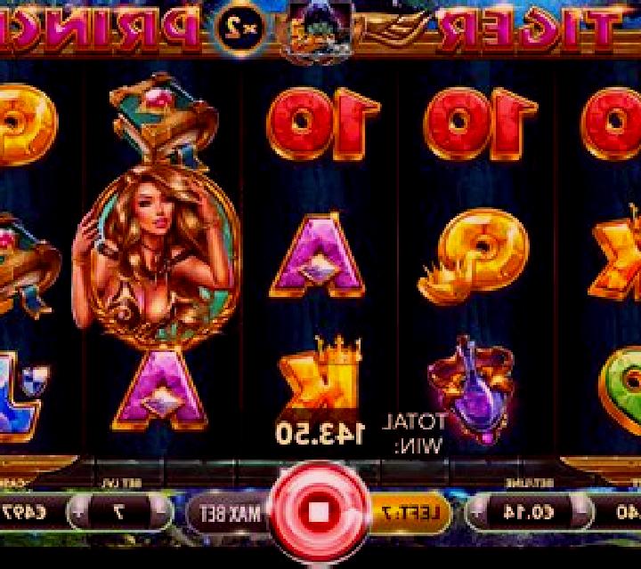 Tiger Princess slot game