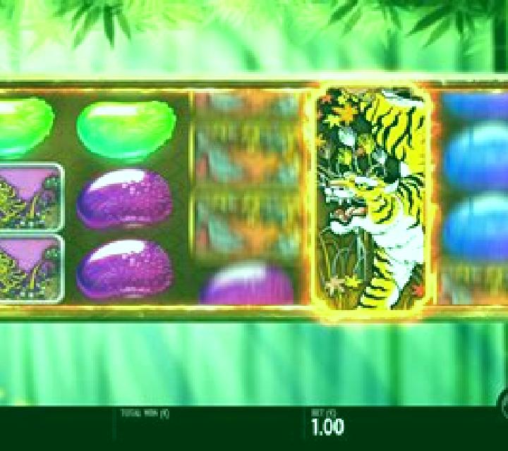 Tiger Rush slot