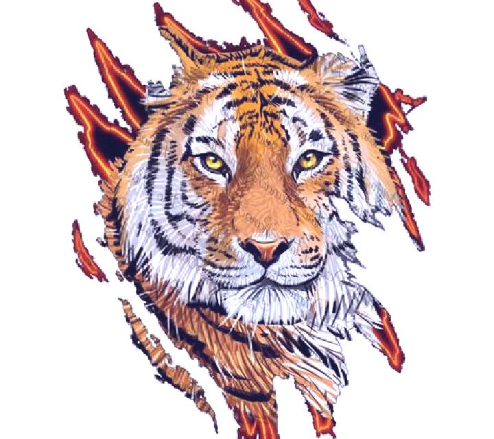 Tiger Scratch slot machine