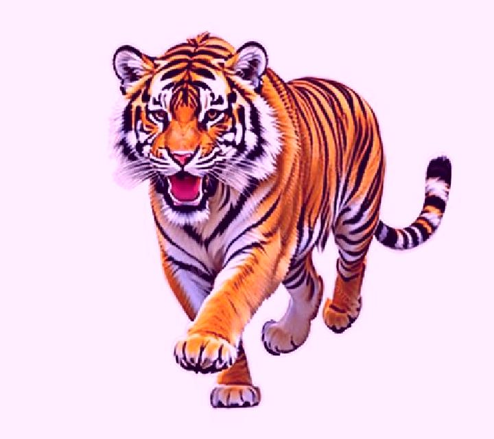 Tiger Speed online slot