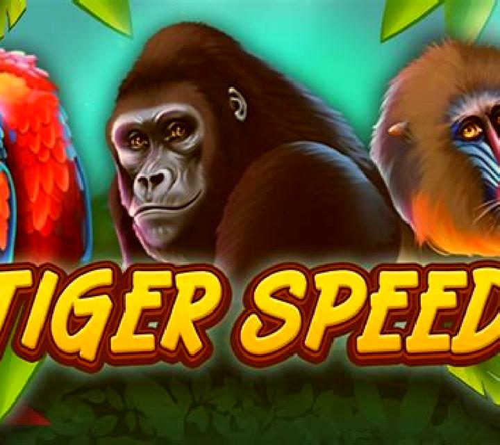 Tiger Speed slot game