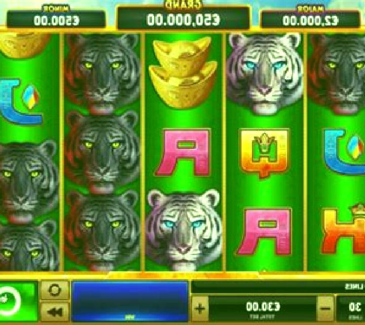 Tiger Stacks slot