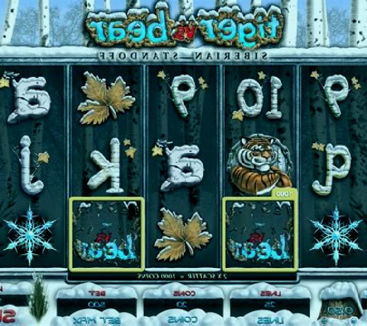 Tiger vs Bear slot machine