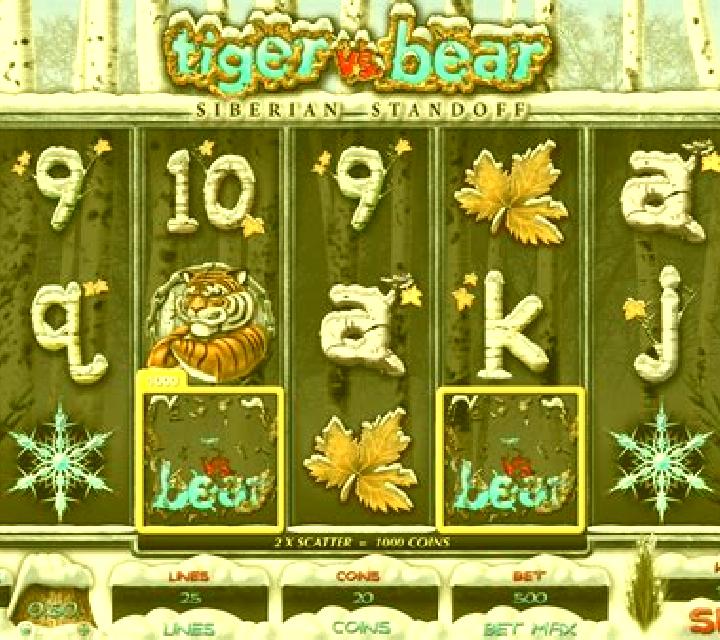 Tiger vs Bear slot
