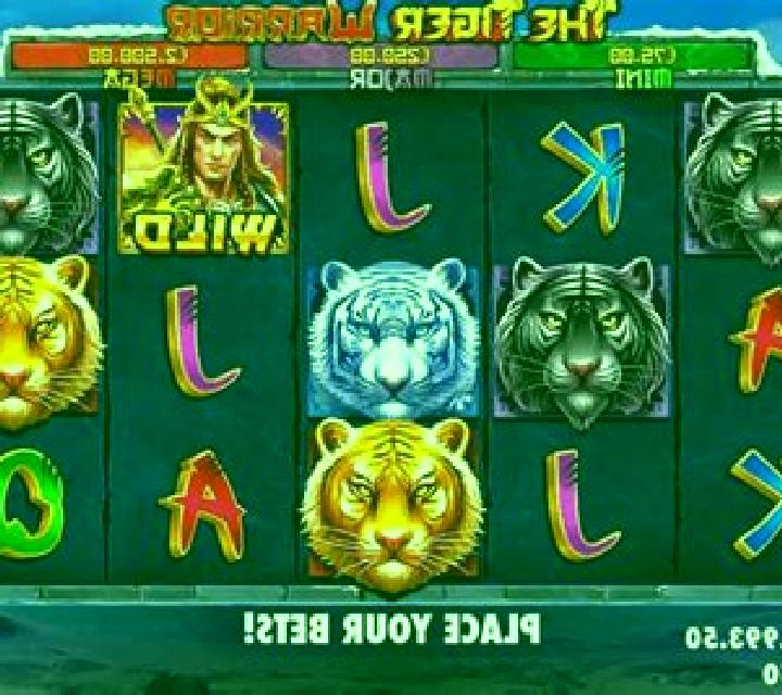 Tiger Warrior slot