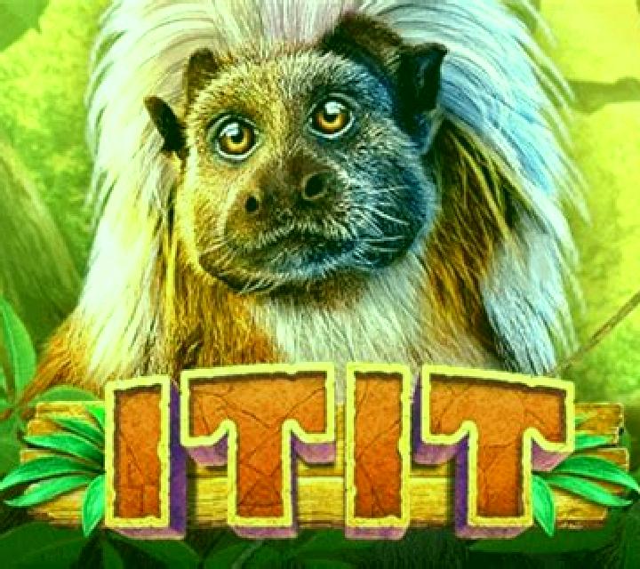 Titi slot game