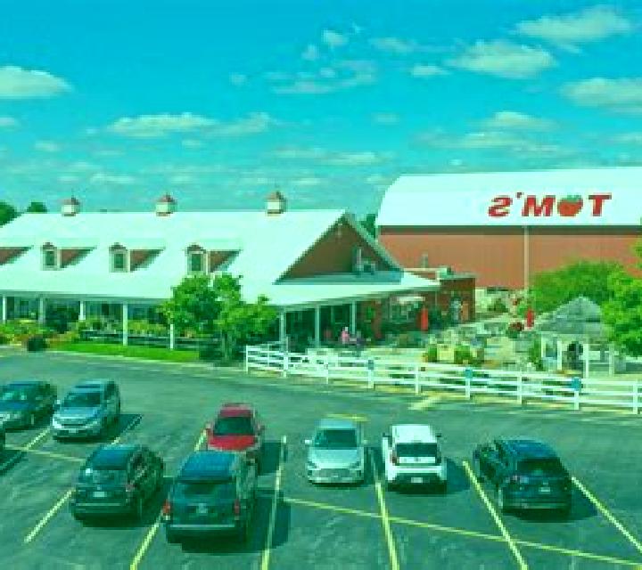 Tom s Farm online slot