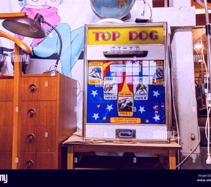 Top Dog slot