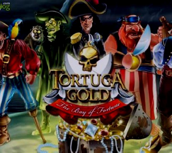 Tortuga Gold slot