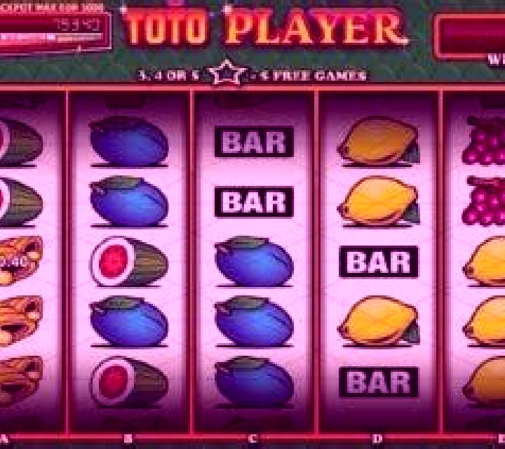 Toto Player slot machine