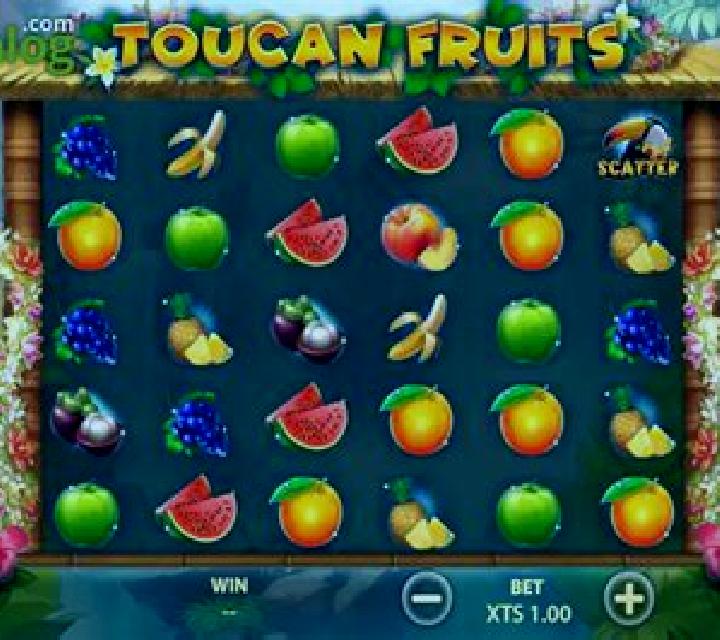 Toucan Fruits slot