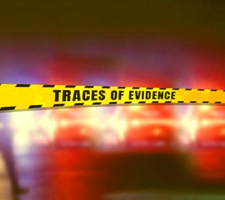 Traces of Evidence online slot