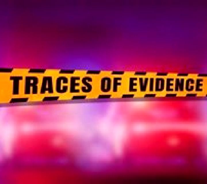 Traces of Evidence slot