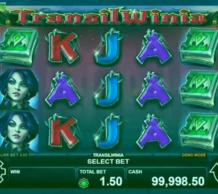 TransilWinia slot