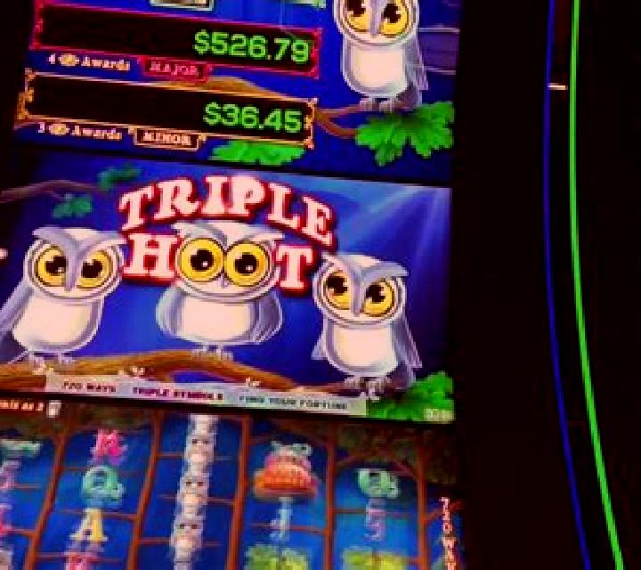 Triple Hoot slot machine