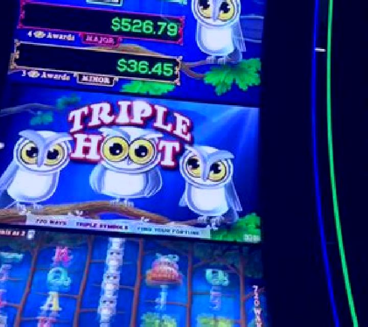 Triple Hoot slot