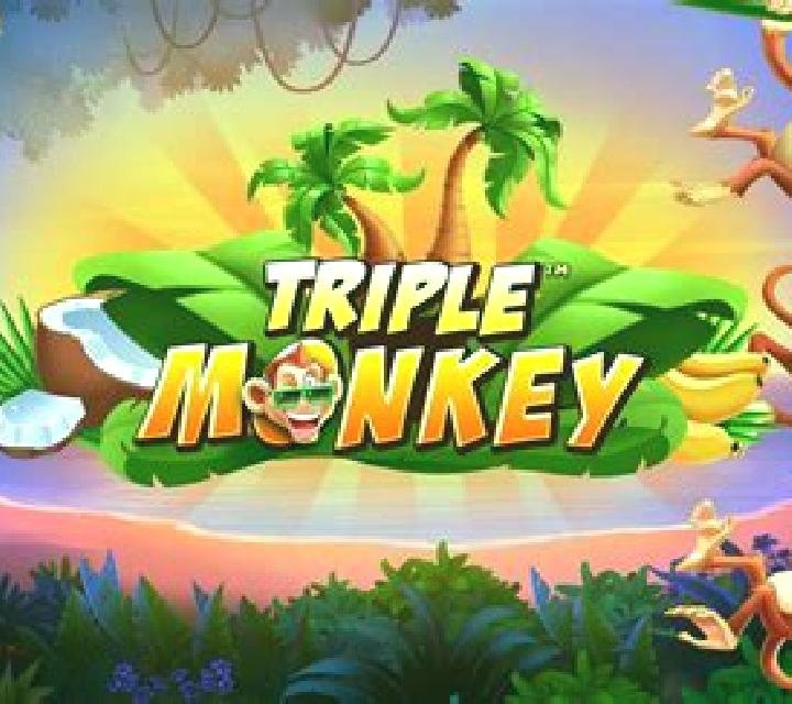 Triple Monkey (Dragoon Soft) online slot