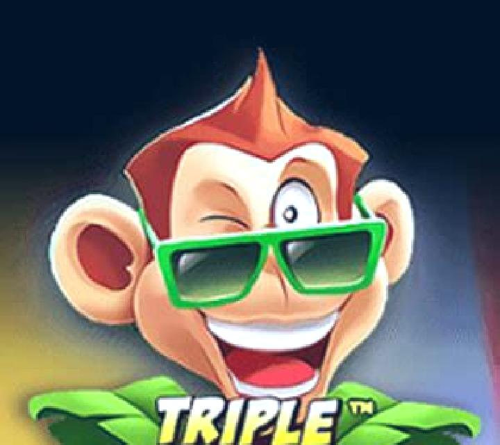 Triple Monkey (High 5 Games) slot game