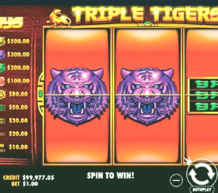 Triple Tigers (Pragmatic Play) online slot