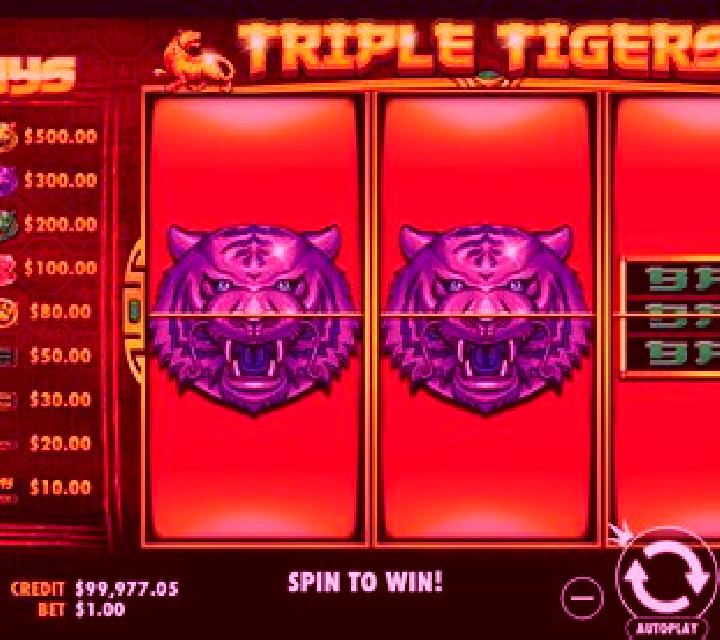 Triple Tigers (Pragmatic Play) slot game