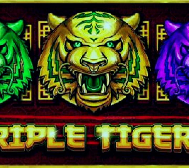 Triple Tigers (Pragmatic Play) slot