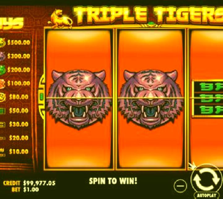 Triple Tigers (RTG) slot game