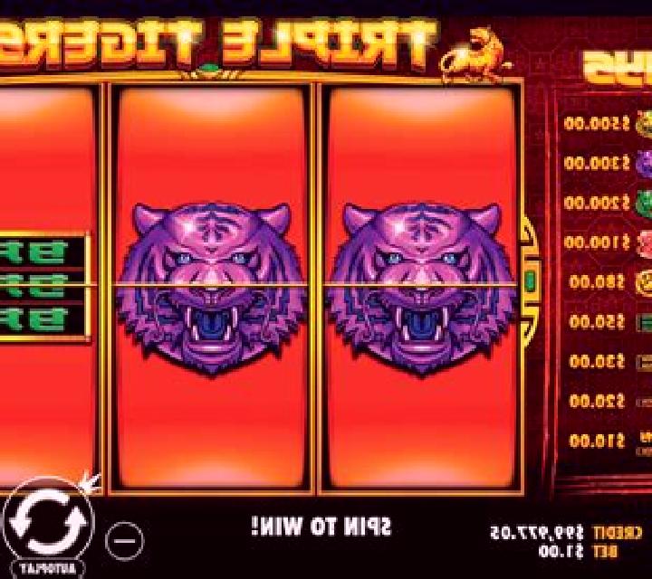 Triple Tigers (RTG) slot machine