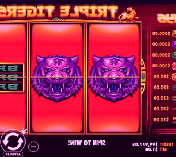 Triple Tigers (RTG) slot