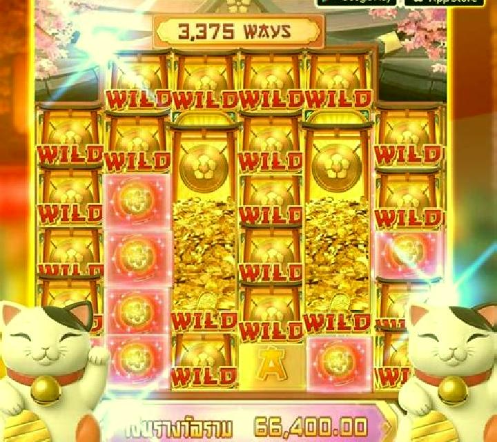 Trippy Cat slot game