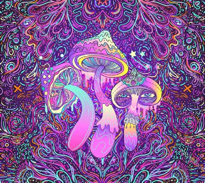 Trippy Mushrooms slot