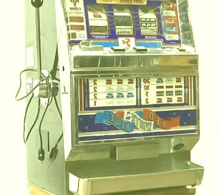 Tropical Punch Night Dream 3 Lines slot