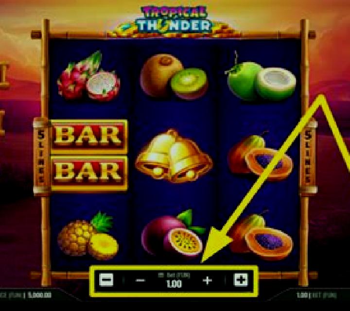 Tropical Thunder slot