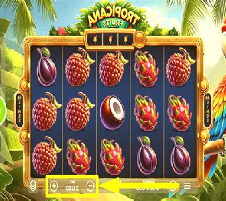 Tropicana Fruits slot