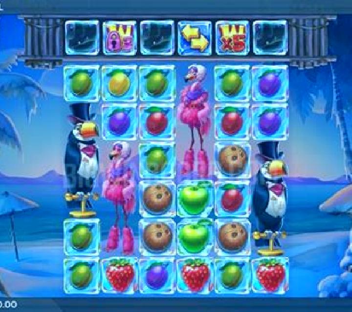 Tropicool slot