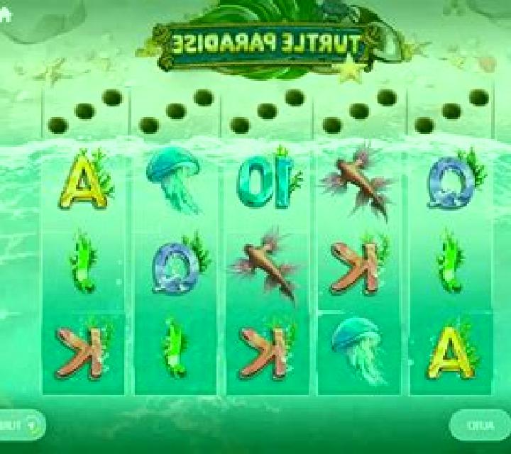 Turtle Paradise slot game
