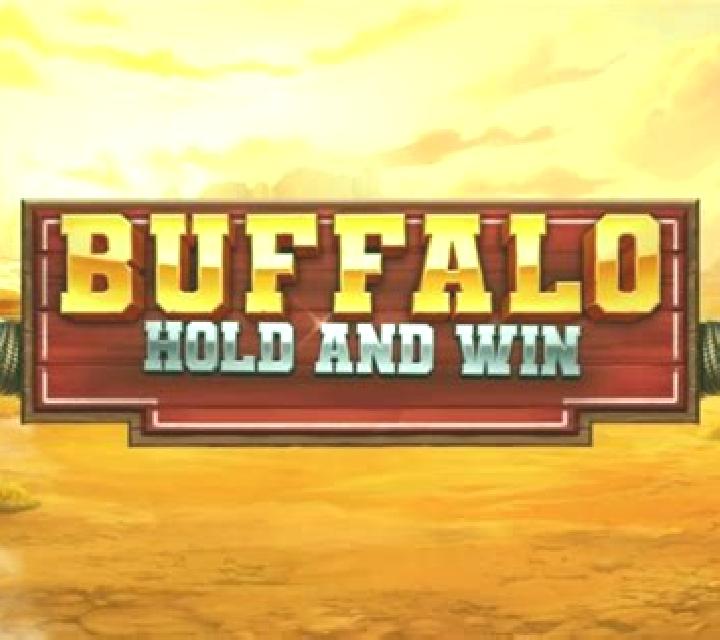 Twin Buffalo: Hold & Win slot game