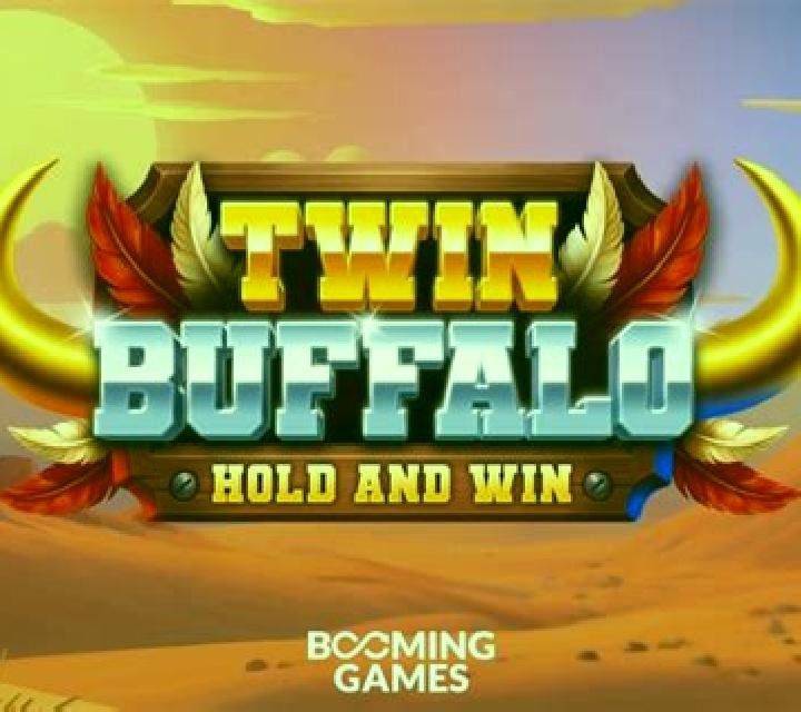 Twin Buffalo: Hold & Win slot