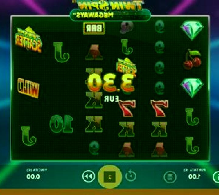 Twin Spin Megaways slot