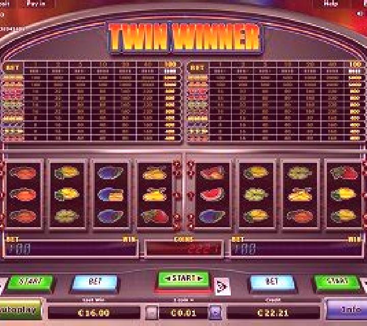Twin Winner slot
