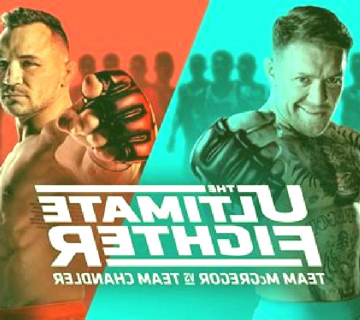 Ultimate Fighter online slot
