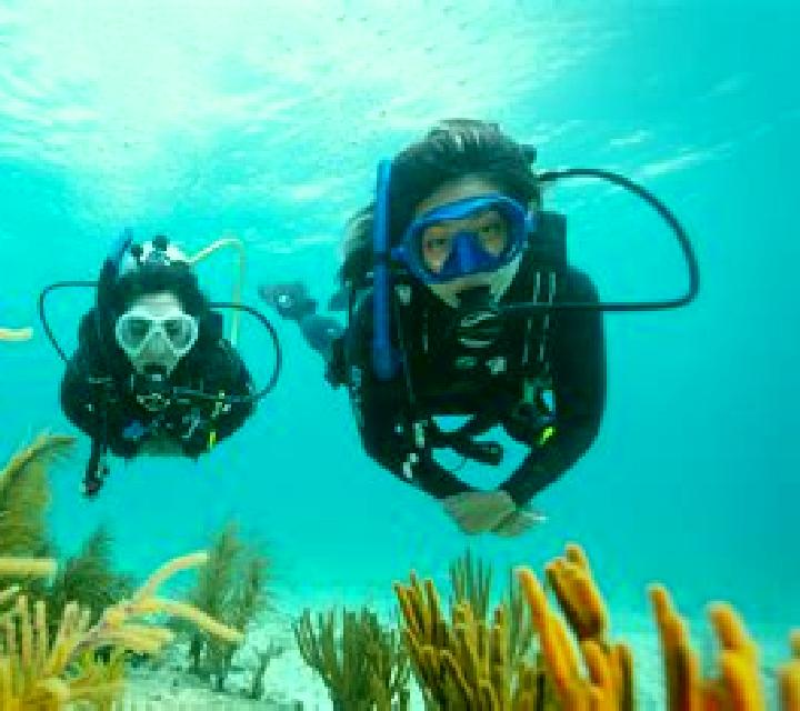 Under Water Diving online slot