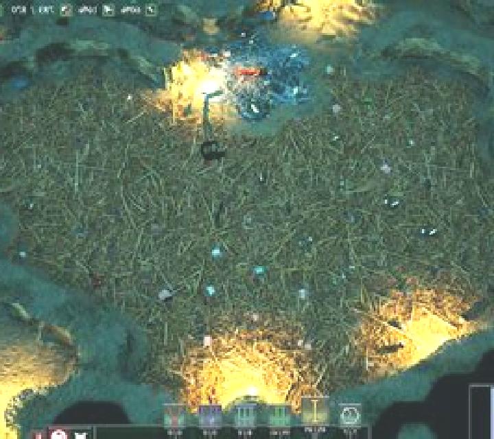 Undergrowth slot game