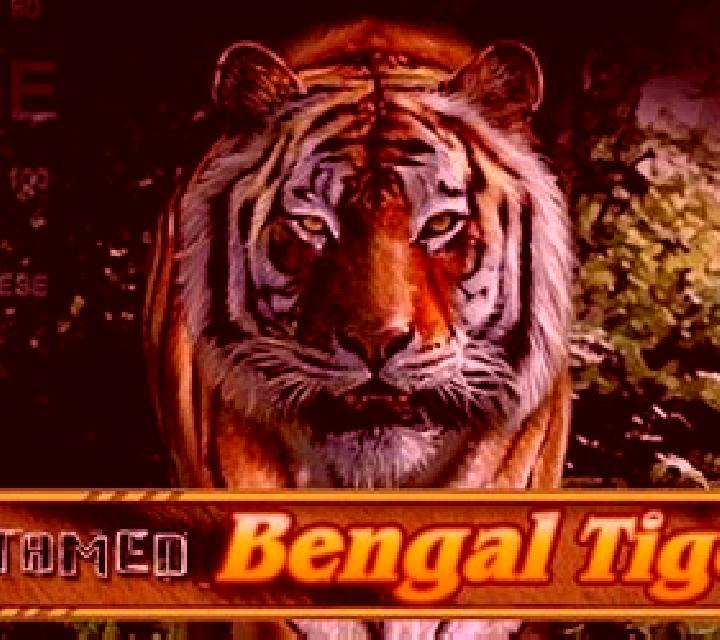 Untamed Bengal Tiger slot game