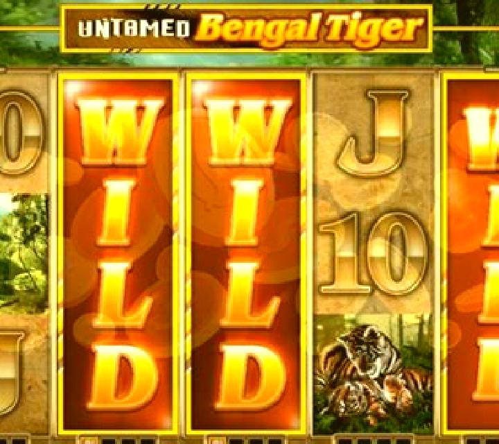 Untamed Bengal Tiger slot machine