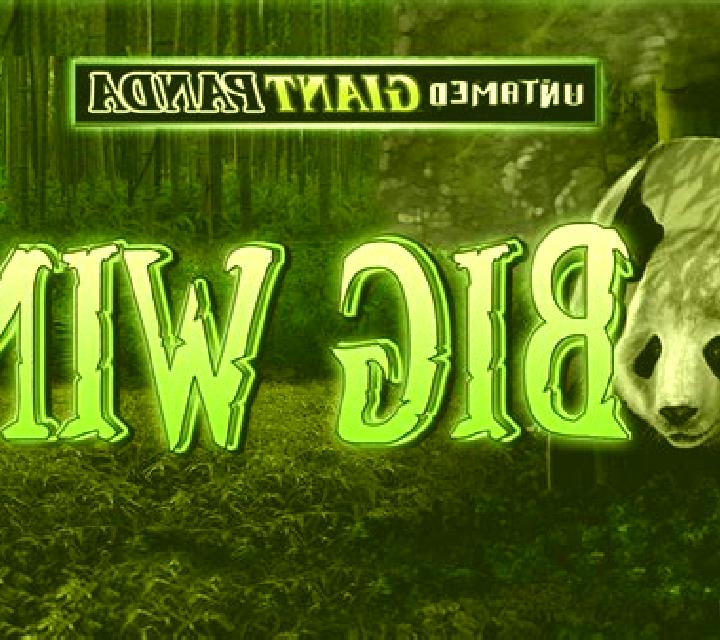 Untamed Giant Panda slot game