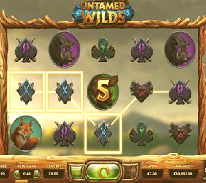 Untamed Wilds slot game